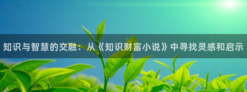 破解起点防盗章节的小说网